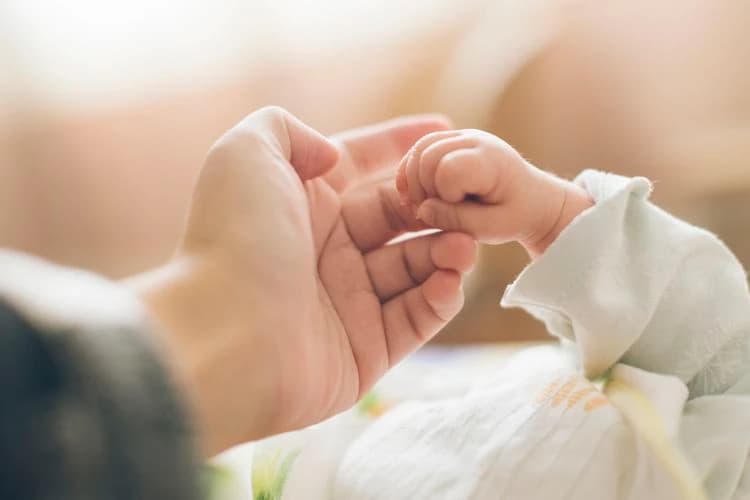 Pathways to parenthood — photo 2